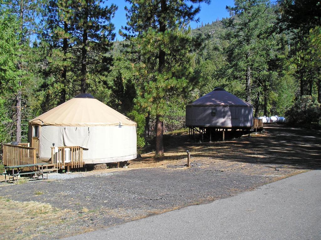 Yosemite Lakes Hillside Yurt 14 Harden Flat Exteriér fotografie