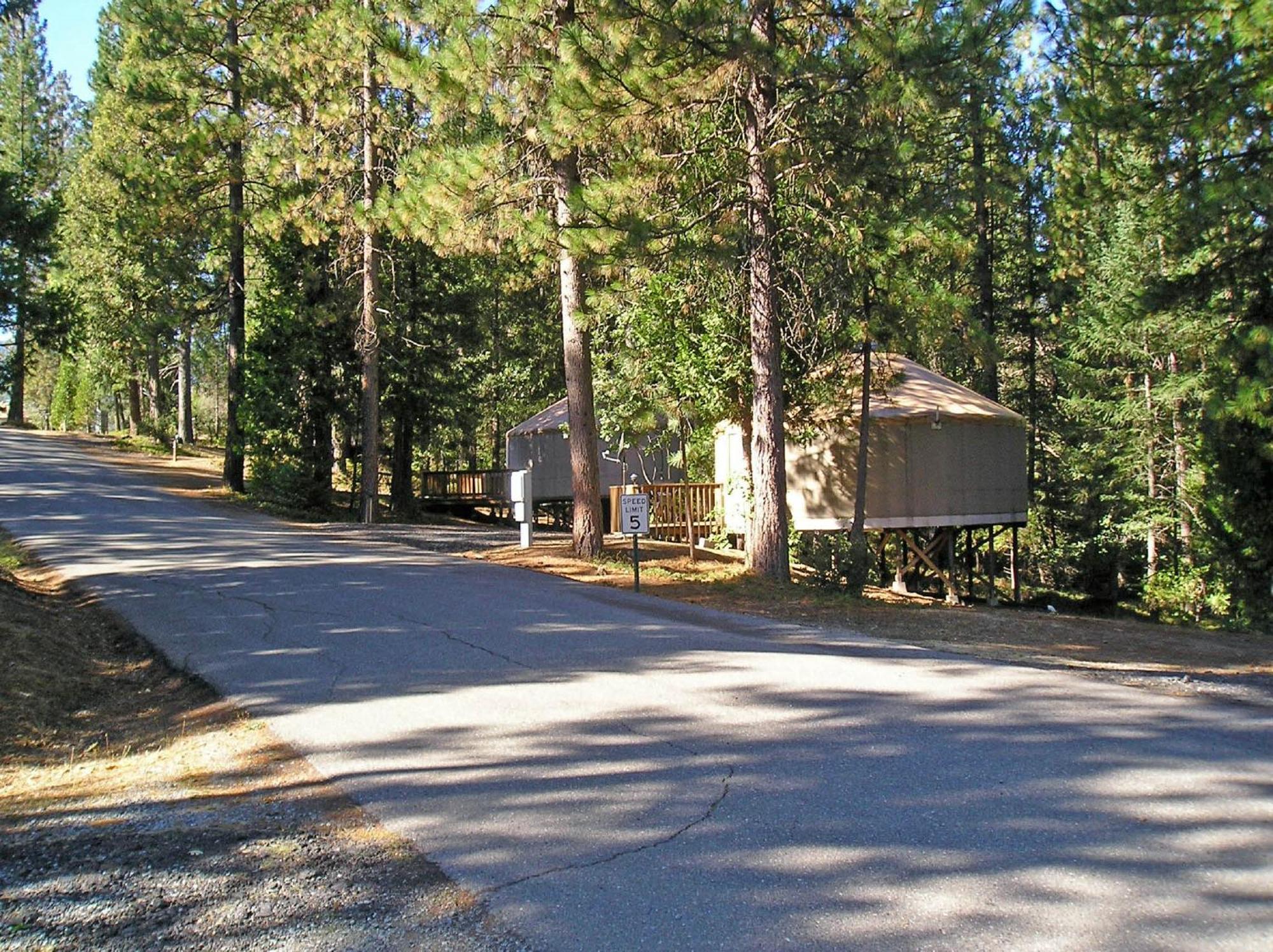 Yosemite Lakes Hillside Yurt 14 Harden Flat Exteriér fotografie